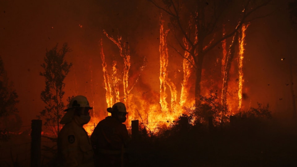 Waldbrände wie in Australien werden durch die globale Erwärmung begünstigt