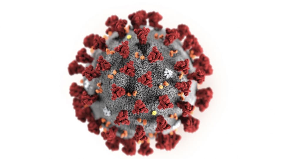 Das Coronavirus hält die Welt in Atem