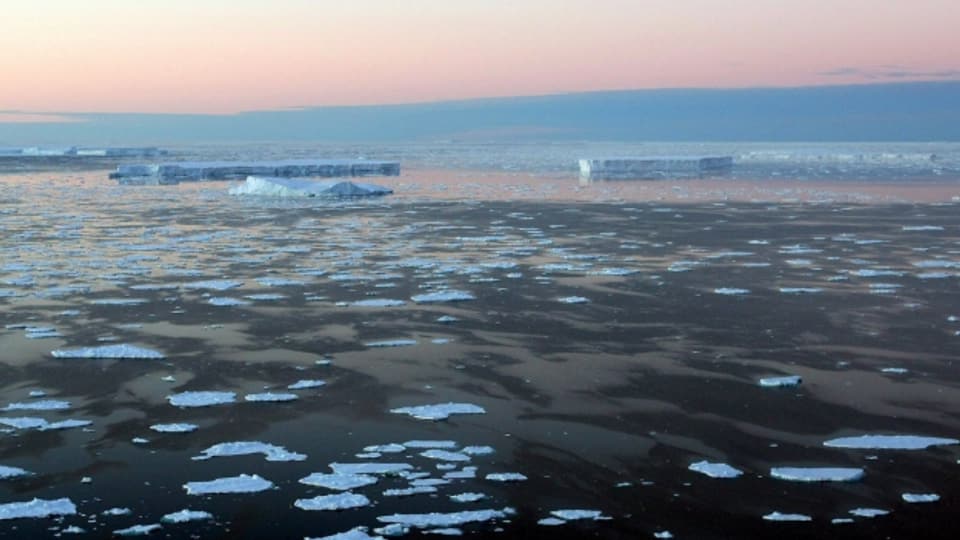 Die Weichen sind gestellt für das grösste Meeresschutzgebiet der Welt in der Antarktis.