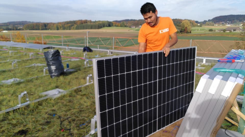 Asylbewerber als Arbeitskräfte in der Solarbranche?