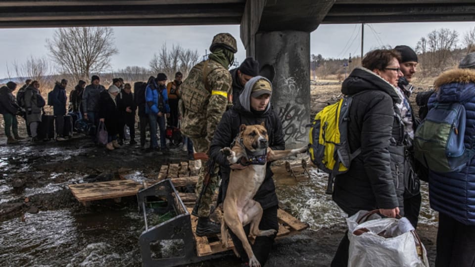 Zivilisten verlassen die umkämpfte Stadt Irpin in der Nähe von Kiew.