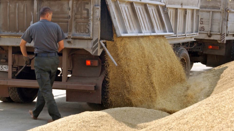 Die Preise für Weizen, Mais und Sonnenblumenöl sind bereits stark gestiegen, seit Russland mit Sanktionen belegt wurde.