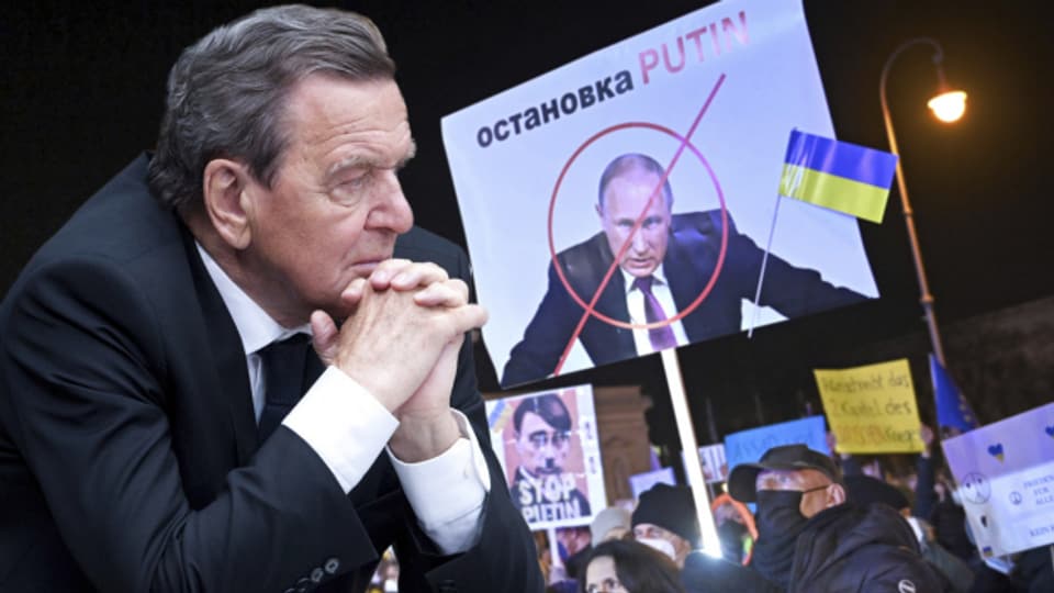 Altkanzler Gerhard Schröder hält an seiner Freundschaft zu Wladimir Putin fest. Das Echo ist niederschmetternd.