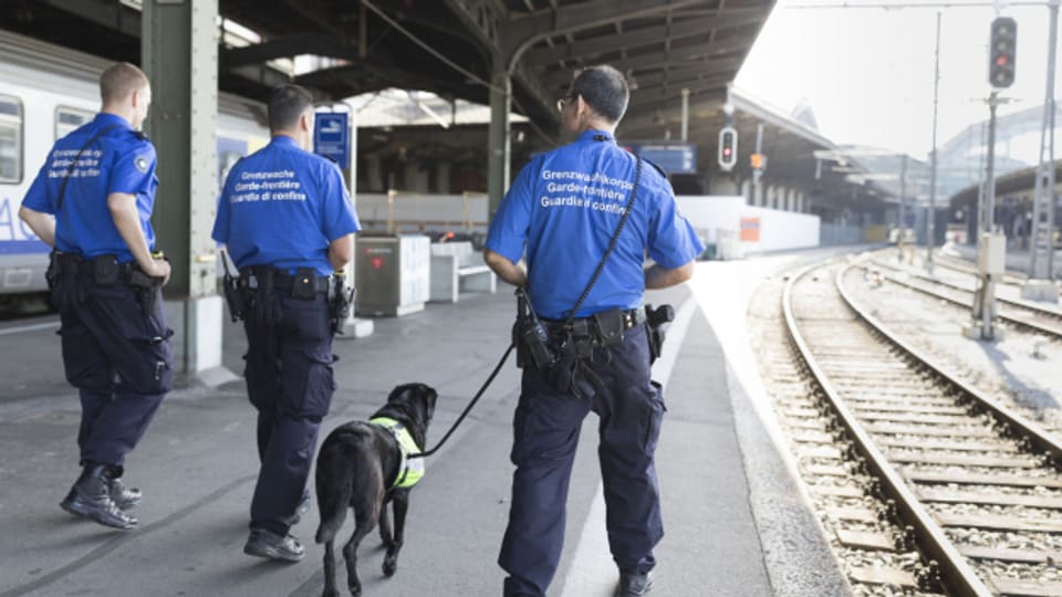 Zoll und Grenzwache sollen zusammengelegt werden. Doch an der neuen Organisation wird Kritik laut.