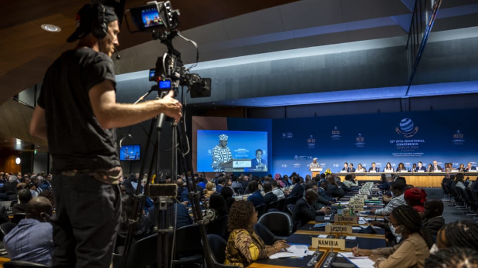 Seit Sonntag diskutieren die rund 160 Mitglieder der Welthandelsorganisation WTO an ihrer Ministerkonferenz in Genf.