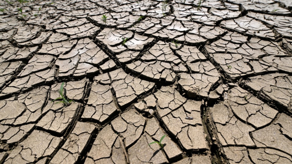 Weite Teile Europas haben derzeit mit einer anhaltenden Dürreperiode zu kämpfen.