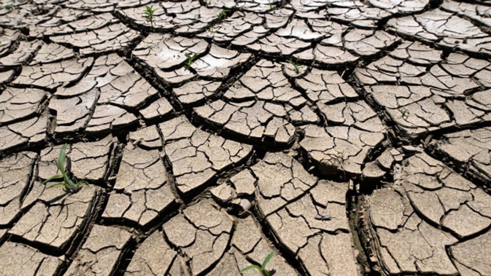 Viele Menschen haben Angst vor dem Klimawandel und seinen Folgen.