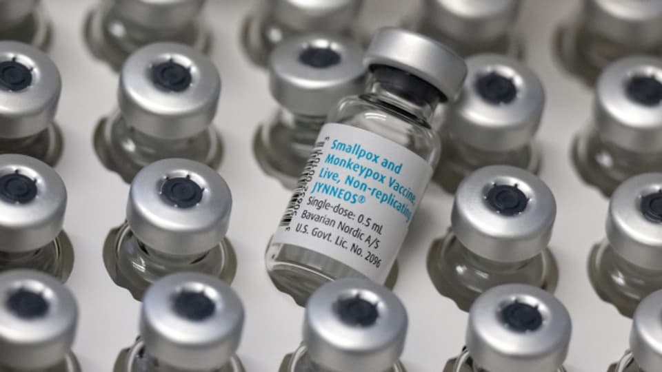 Der Bund müsse schnellstmöglich einen Impfstoff gegen die Affenpocken beschaffen, fordert der Dachverband homosexueller Männer «Pink Cross».