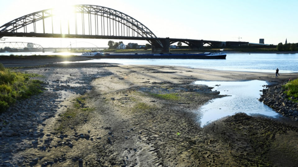 Beinahe ausgetrocknetes Flussbeet am Fluss Waal in Nijmegen.