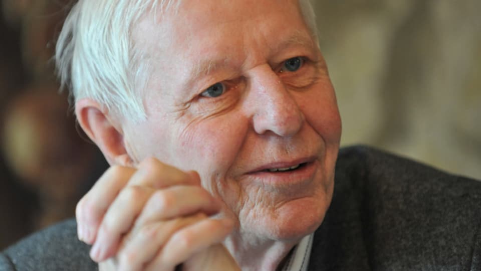 Autor, Herausgeber und Denker: Hans Magnus Enzensberger ist tot.