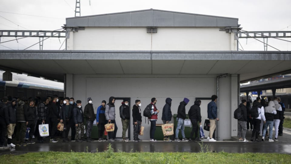 Die Kantone schlagen wegen steigender Asylzahlen Alarm.