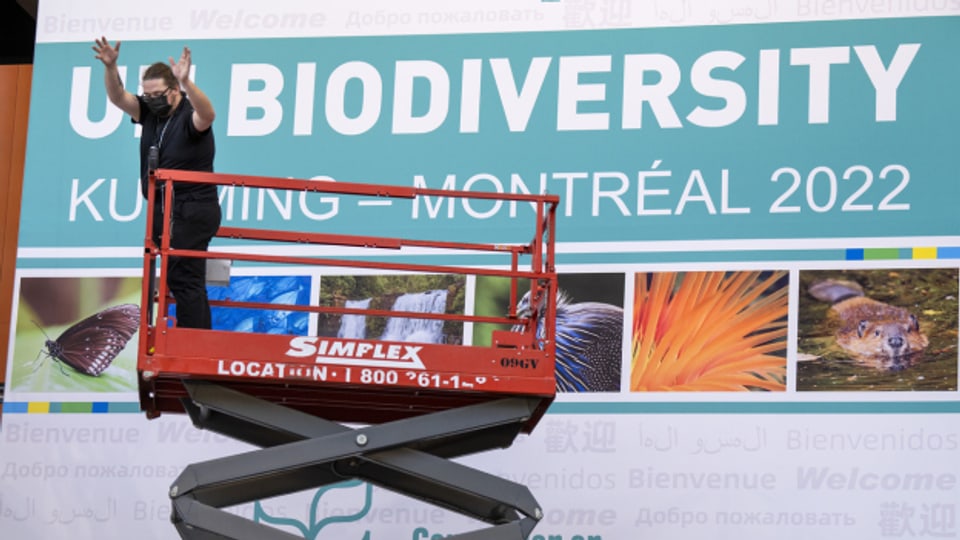 Am Mittwoch beginnt die Weltnaturkonferenz, die COP15, in Montréal.