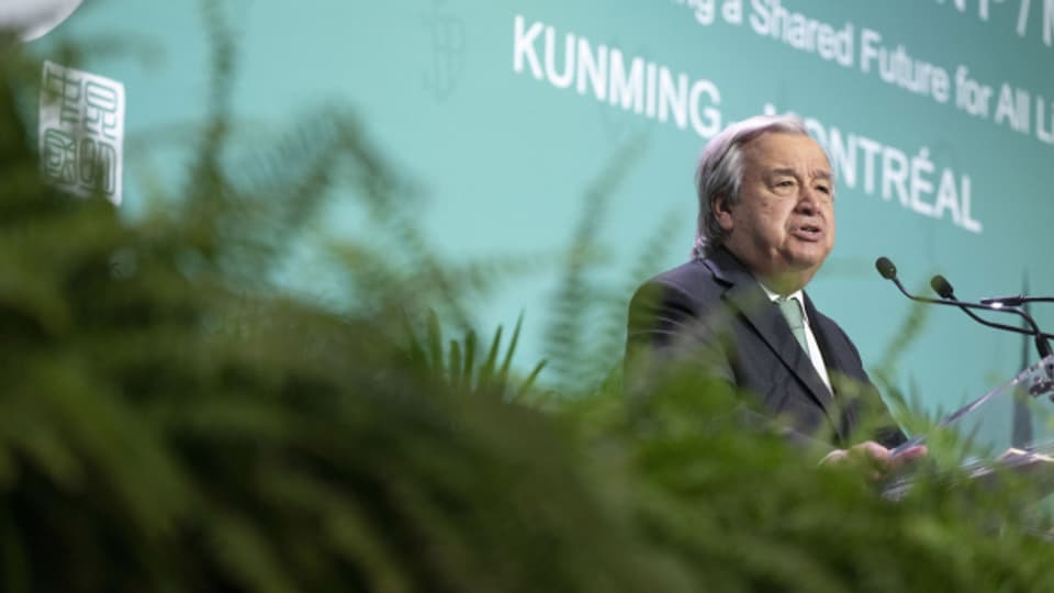 UNO-Generalsekretär António Guterres an der COP15.