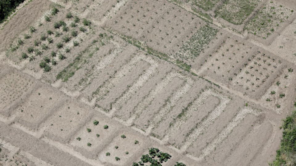 Die anhaltende Dürre führt zu ausgetrockneten Feldern in Südspanien.