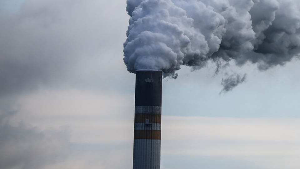 Viele CO2-Zertifikate halten nicht, was sie versprechen.