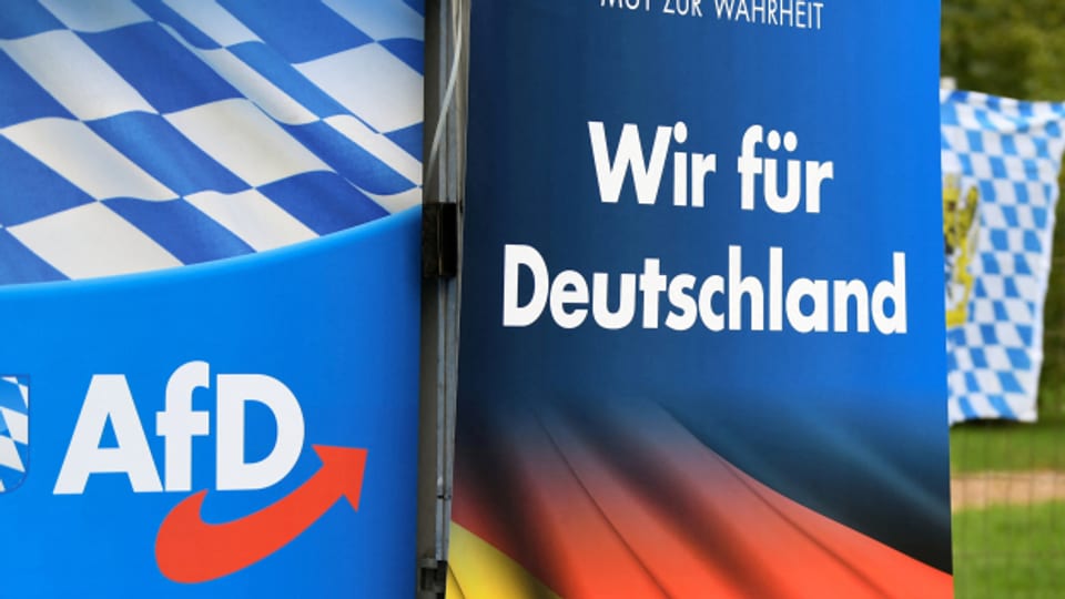 In Deutschland werden wieder Diskussionen laut, die AfD zu verbieten.
