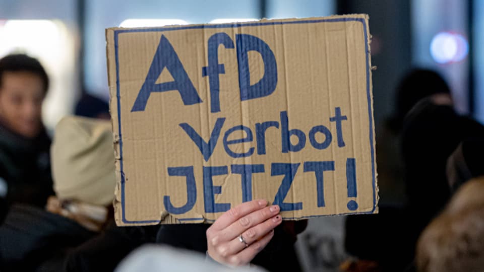 In den letzten Tagen demonstrierten deutschlandweit Zehntausende Menschen gegen Rechtsextremismus und die AfD.
