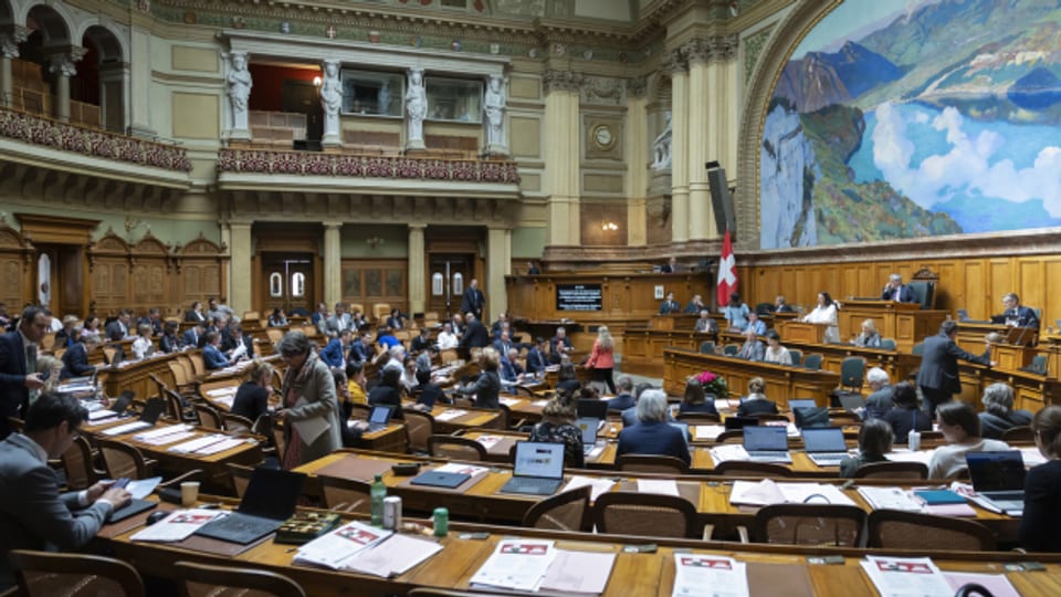Der Nationalrat hat sich in einer Sondersession über die Legislaturplanung 2023-2027 gebeugt.