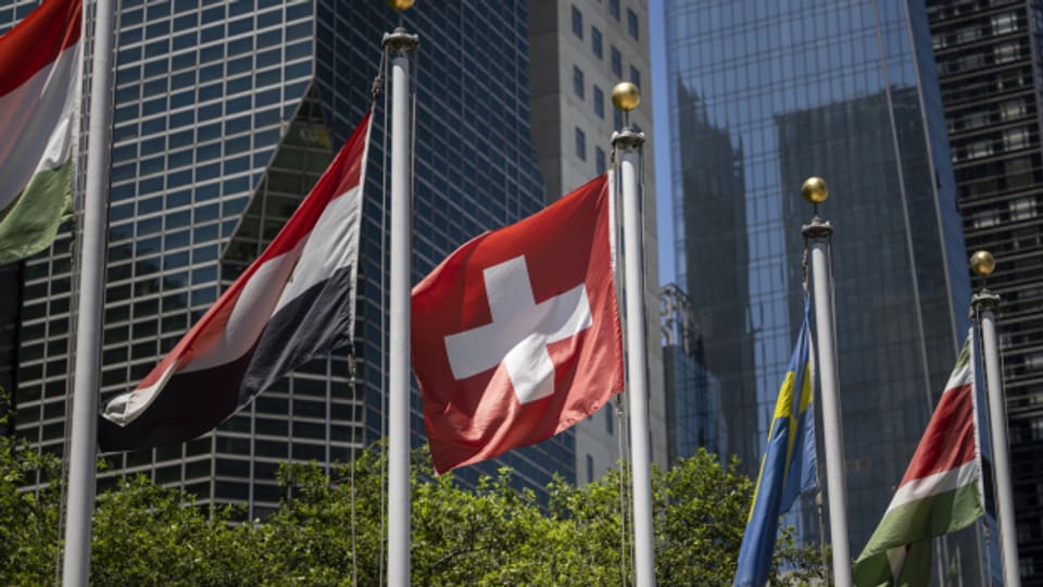 Die Schweiz sitzt seit Anfang Jahr im UNO-Sicherheitsrat.
