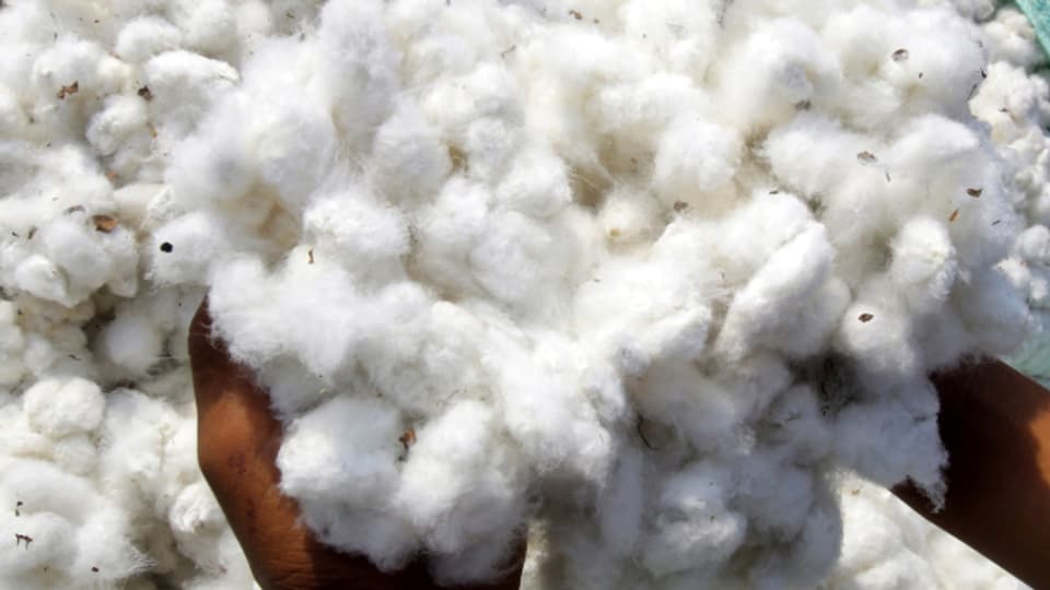 Baumwolle aus Mali wird zu Dumpingpreisen exportiert.