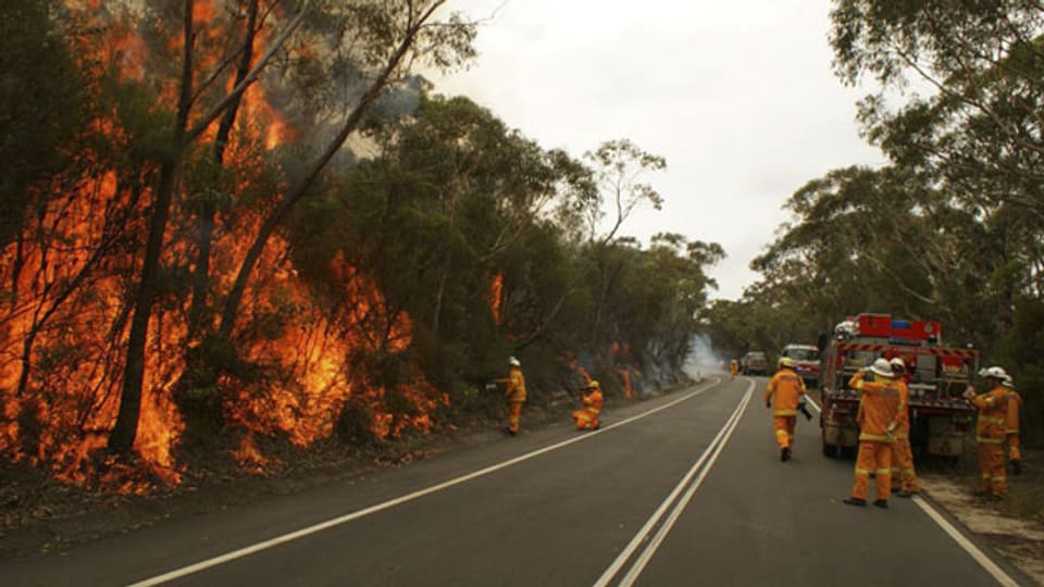 Feuerwehrmannschaften versuchen einen Waldbrand in der Nähe von Sydney zu löschen.