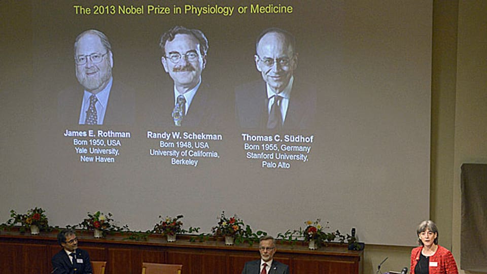 Die drei Medizin-Nobelpreisträger 2013 - anlässlich der Medienkonferenz in Schweden an die Wand projeziert.