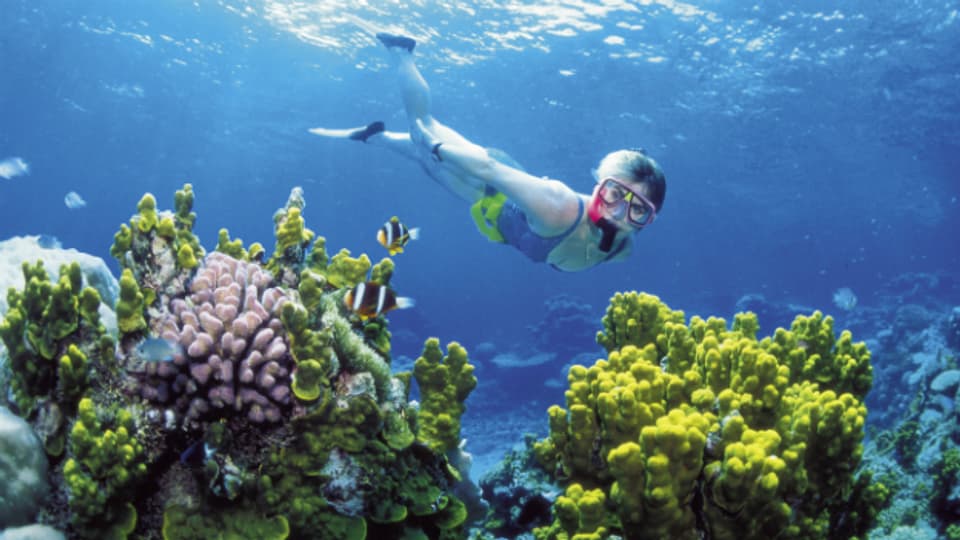 Das Great Barrier Reef ist Australiens Tourimusmagnet.