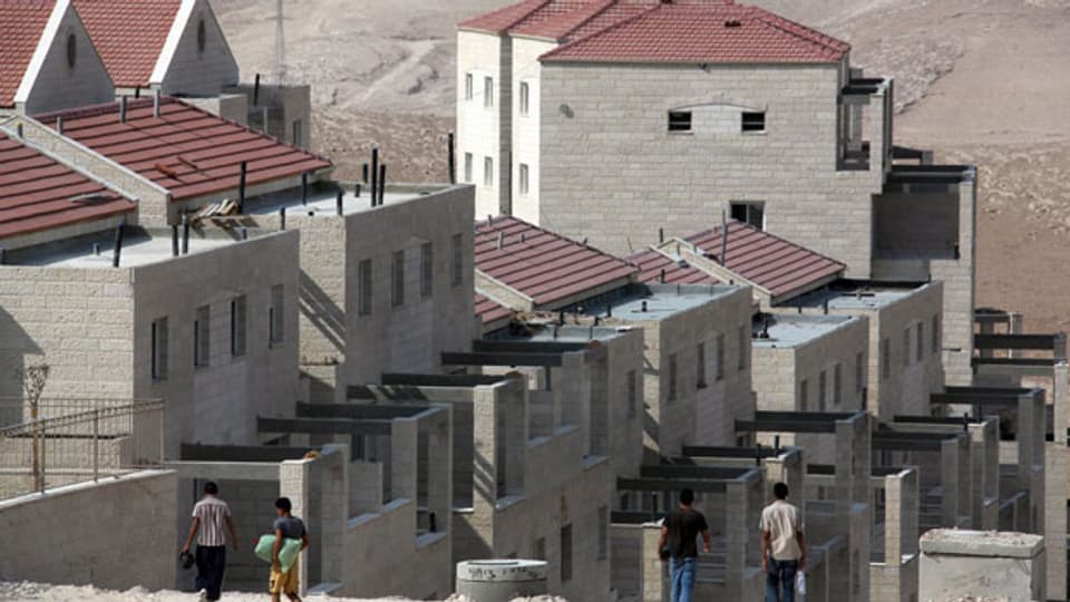 Trotz Protest der UNO und der USA baut Israel im Westjordanland sogar mehr Wohnungen als bisher geplant. Jüdische Siedlung östlich von Jerusalem.