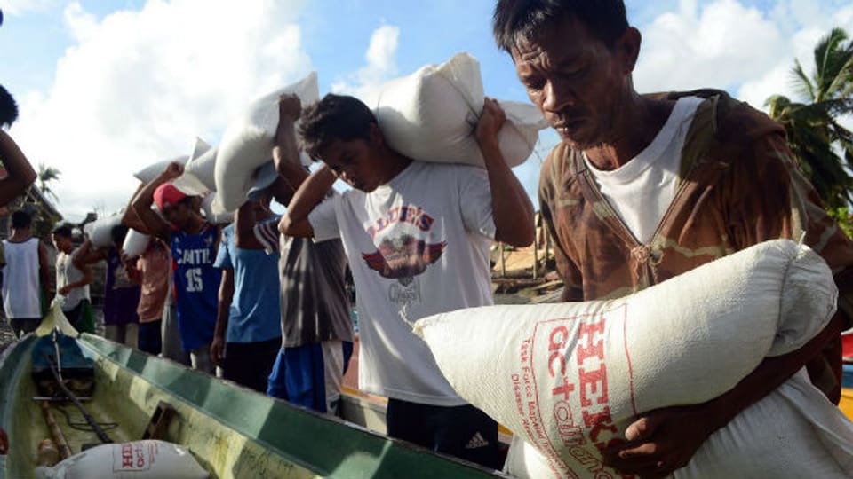 Auch 3 Wochen nachdem der Taifun Haiyan über die Philippinen zog, ist Hilfe gefragt