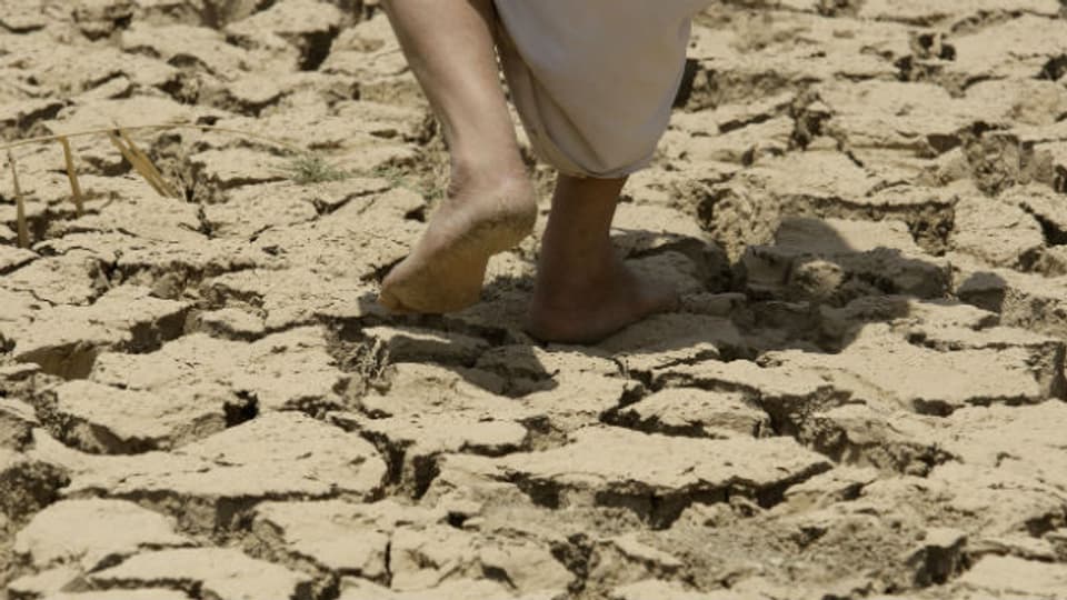 Trockenheit bedroht Menschen und Tiere.
