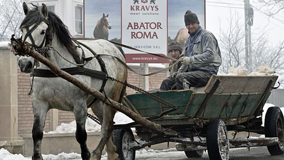 Ein Pferdewagen vor der rumänischen Schlachterei, aus der das skandalträchtige Pferdefleisch stammen soll.