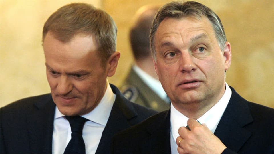 Ungarns Premier Viktor Orban (rechts), hier mit seinem polnischen Amtskollegen Donald Tusk.