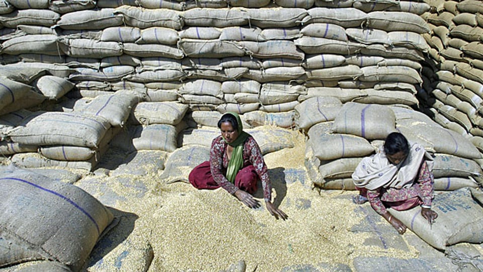 Arbeiterinnen in einem Getreidelager nahe der nordindischen Stadt Amritsar.