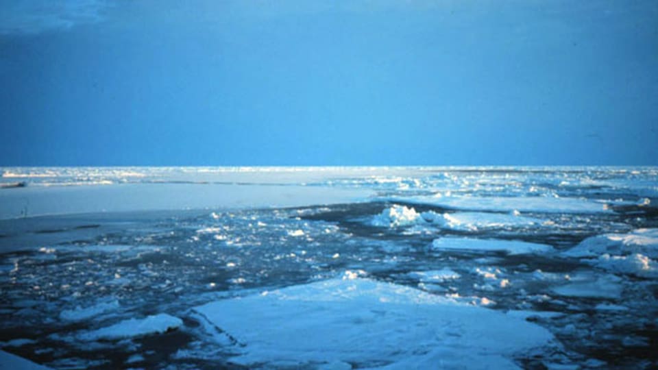 Die reiche Arktis - Bodenschätze unter dem Eis.