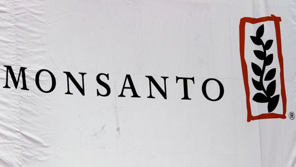 Kundgebungen gegen Monsanto Saatgut. Mit einem «March Against Monsanto» wollen Demonstranten auf die Gefahren durch gentechnisch manipulierte Lebensmittel aufmerksam machen.