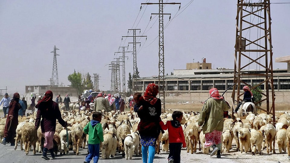 Immer mehr Menschen in Syrien verlassen ihre Dörfer, hier syrische Familien und Schafe am Rand von Damaskus.