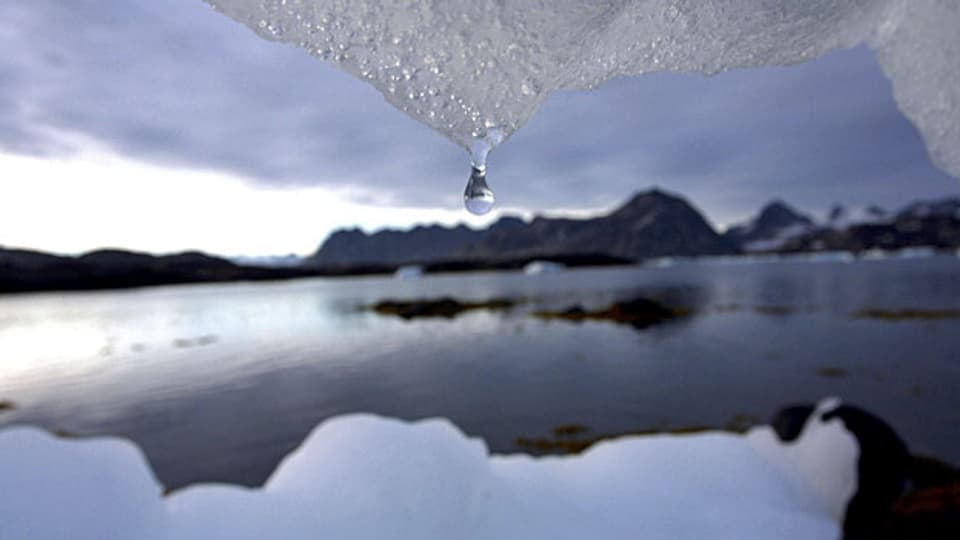 Schmelzender Eisberg in Grönland