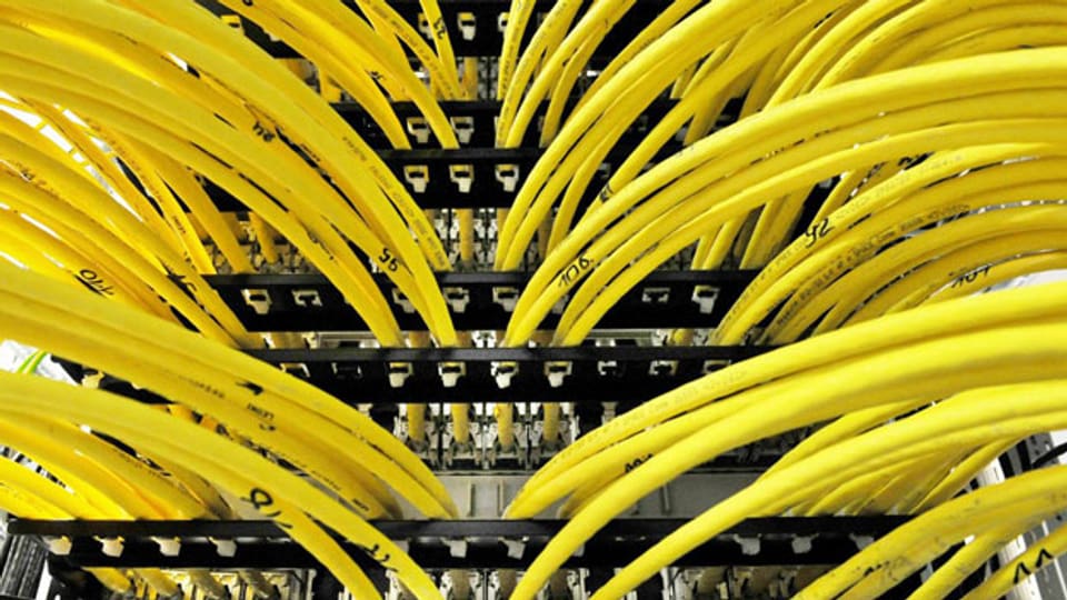 Gelbe Kabel in einem Serverraum. Symbolbild.