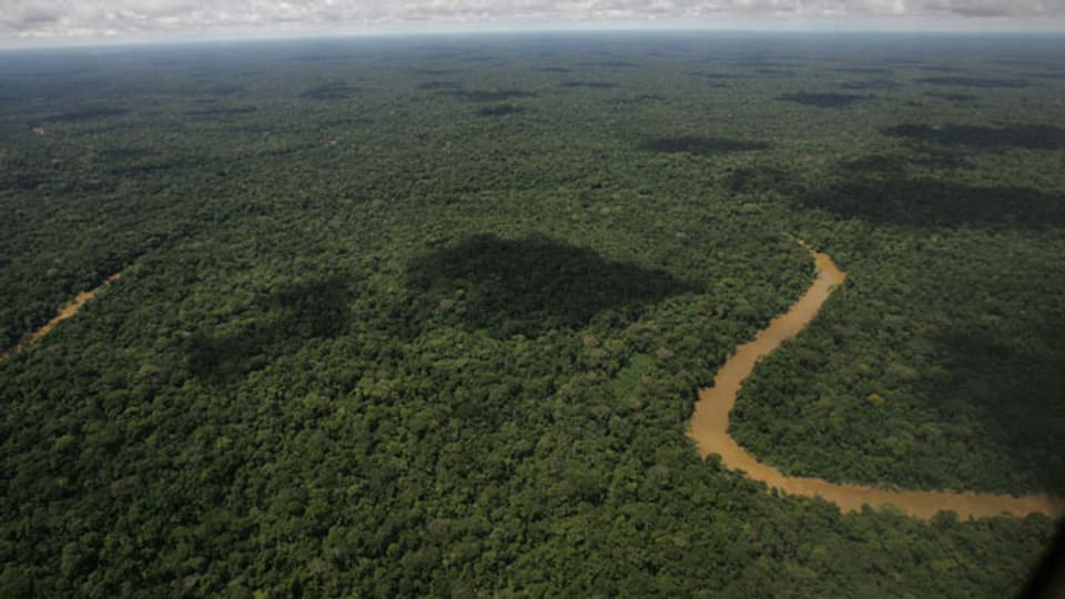 Ein Luftbild der Yasuni National Park im Nordosten Dschungel Ecuadors. Der Dschungel-Bereich wurde von der Unesco zum Biosphärenreservat erklärt.