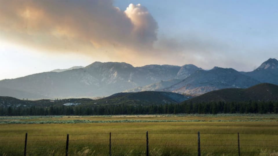 Mountain Center in Kalifornien: die grosse Trockenheit begünstigt Waldbrände.