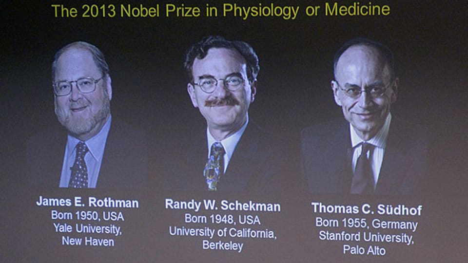Die drei Medizin-Nobelpreisträger 2013.