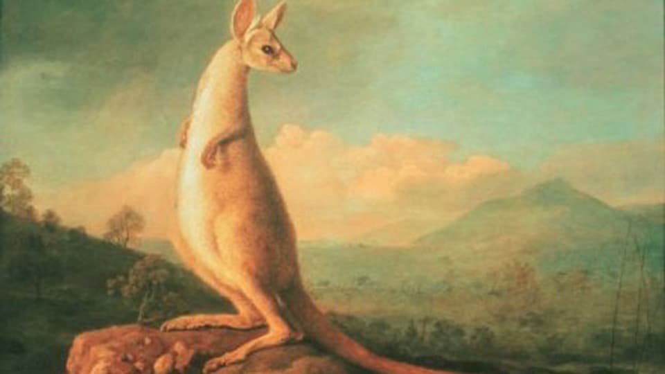 Wem gehört das allererste Känguruh? Ein internationaler Streit um ein in Öl gemaltes Beuteltier von George Stubbs.