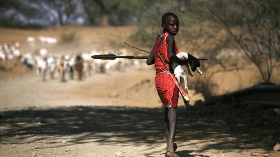 Massai sind Halbnomaden und leben in Ostafrika in verstreuten Hütten, die sie aus Kuhdung und Erde bauen.
