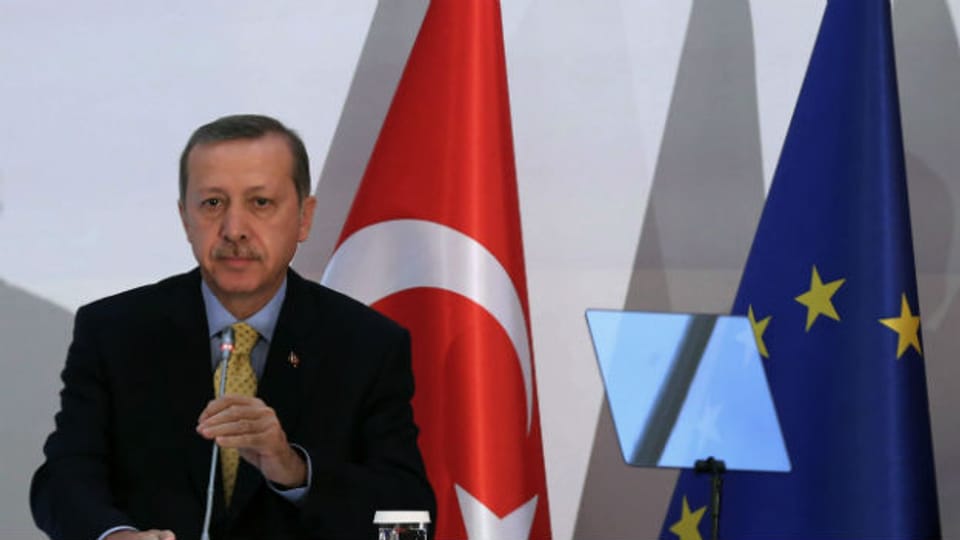 Premierminister Erdogan während einer Rede in Ankara im Dezember 2013.