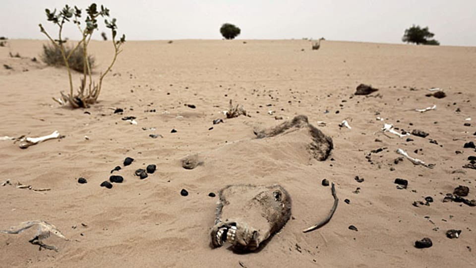 Nicht zum ersten Mal ist die Sahelzone von einer Hungersnot betroffen.