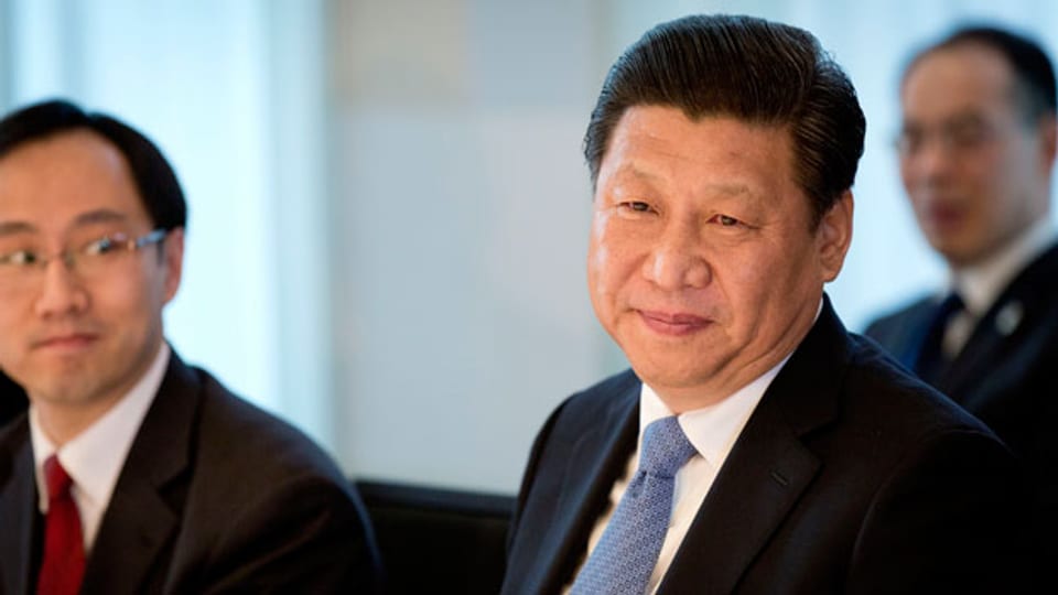 Xi Jinping auf Besuch in Den Haag