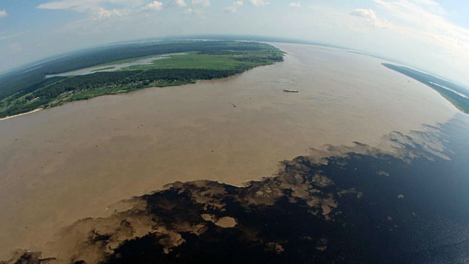 Luftaufnahme Amazonasgebiet in der Nähe von Manaus. Die Natur am Amazonas ist so etwas wie eine Urwaldapotheke -  eine Einladung an die Wissenschaft.