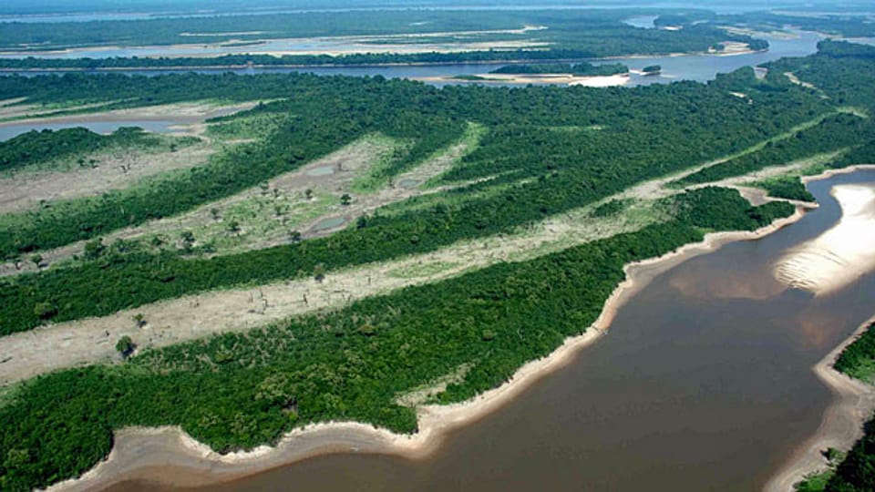 Luftaufnahme auf das Amazonasgebiet im Norden Brasiliens.