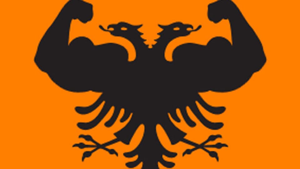 Logo der «Starke Partei», Kosovo.