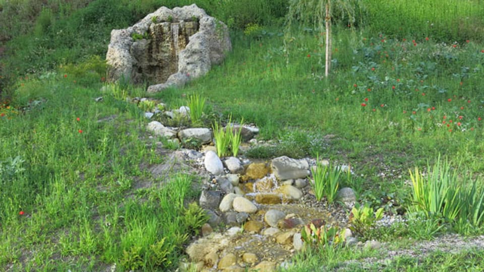 Der «Stein des Anstosses» im Park in der Berner Elfenau.